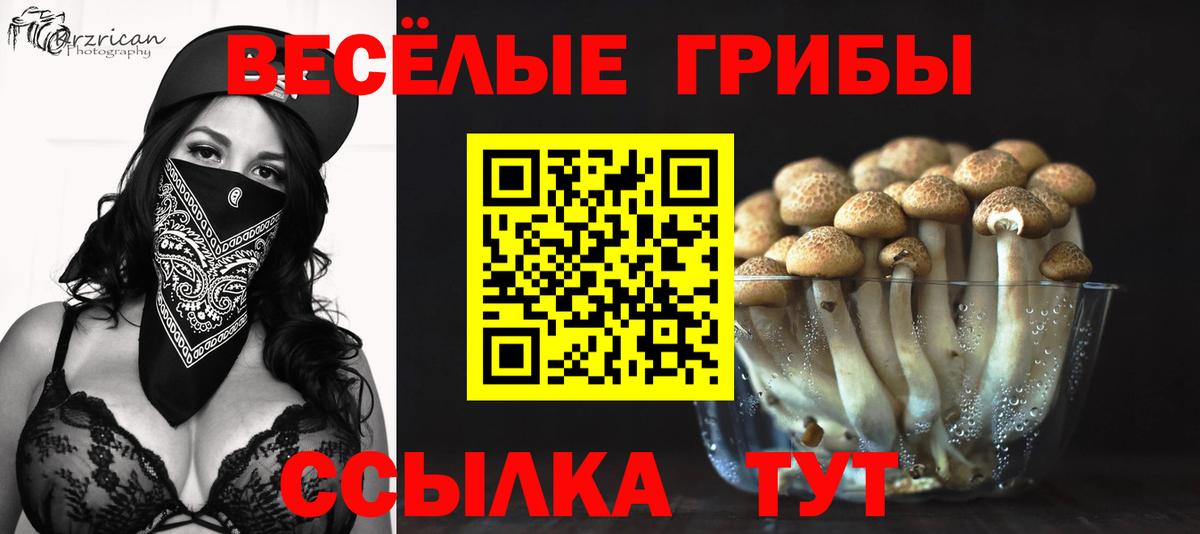 Псилоцибиновые грибы GOLDEN TEACHER Уссурийск