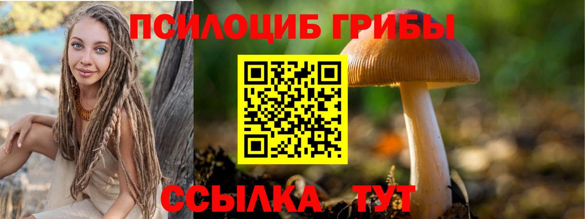 Галлюциногенные грибы Psilocybe  Псилоцибиновые грибы Psilocybine cubensis  Вход с VPN  Уссурийск 